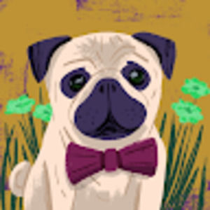 Meet your Posher, Barry